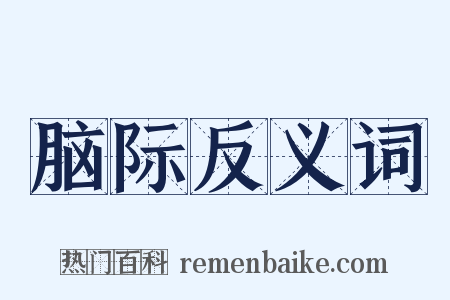 脑际反义词是什么意思的图片
